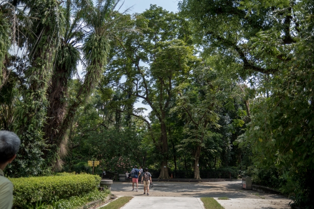 台北植物園の写真1