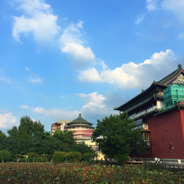 台北植物園の写真4