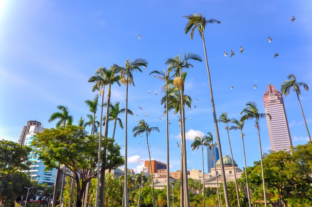 二二八和平公園の写真3