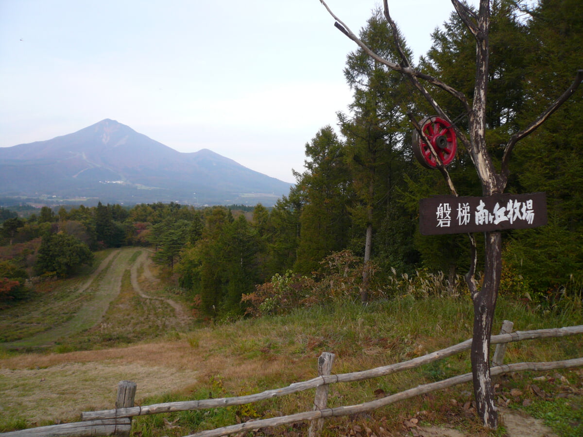 那須高原 南ヶ丘牧場の写真4