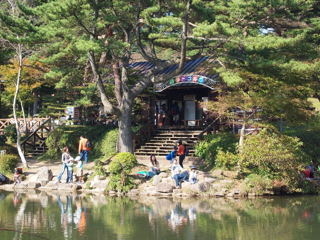 六甲山アスレチックパーク GREENIAの写真4