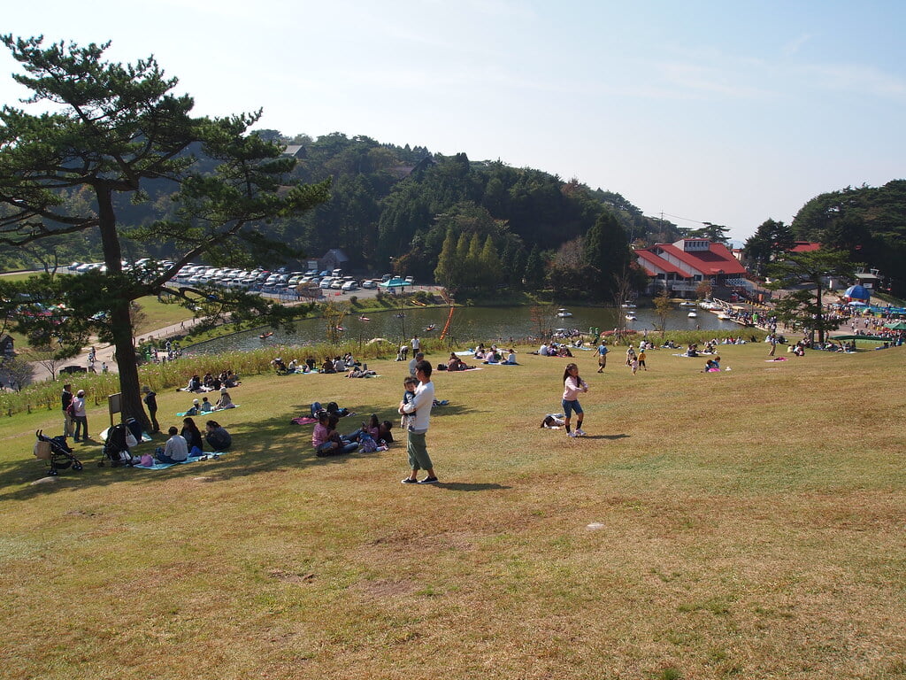 六甲山アスレチックパーク GREENIAの写真6