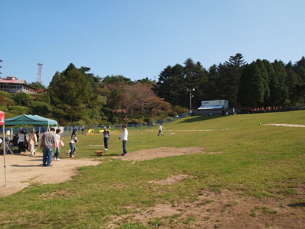 六甲山アスレチックパーク GREENIAの写真8