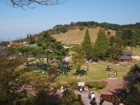 六甲山アスレチックパーク GREENIA