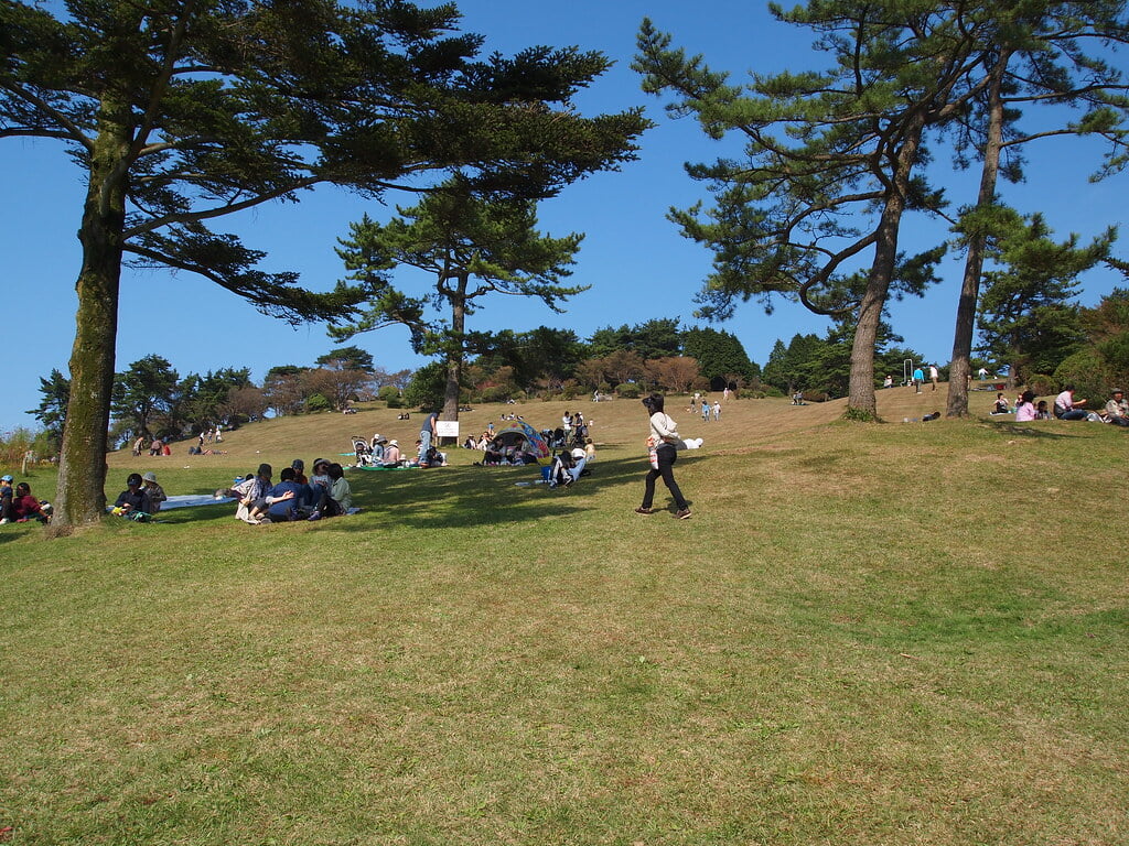 六甲山アスレチックパーク GREENIAの写真13