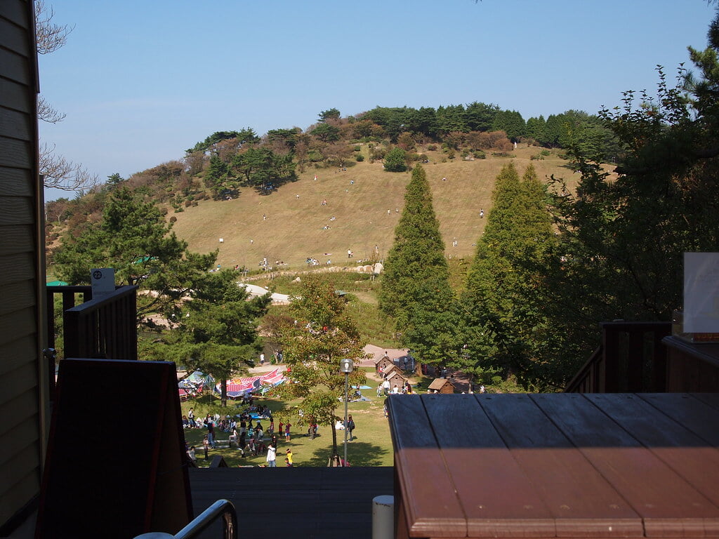 六甲山アスレチックパーク GREENIAの写真15