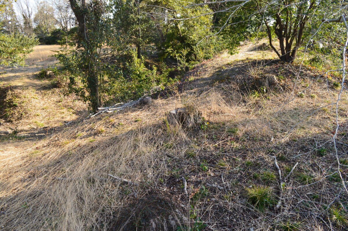 長者屋敷遺跡の写真2