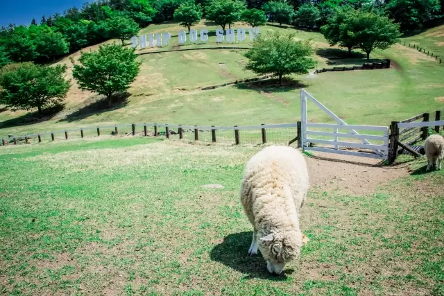 伊香保グリーン牧場の写真1