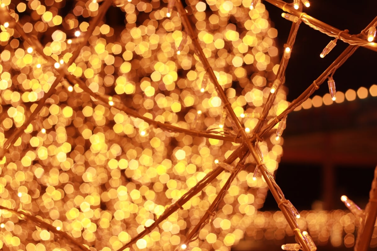 那須高原 りんどう湖ファミリー牧場の写真5