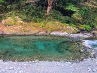 寄清流マス釣り場