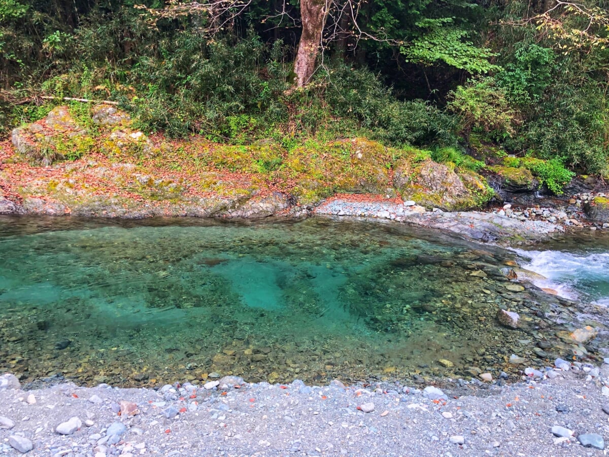 寄清流マス釣り場の写真1