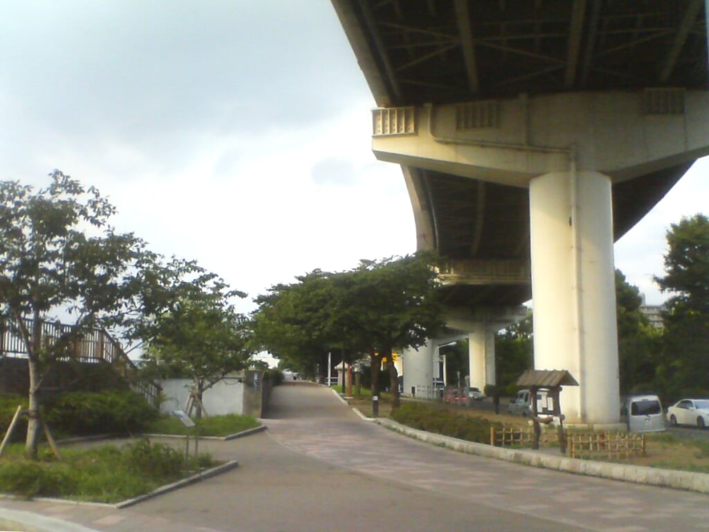 隅田公園の写真1