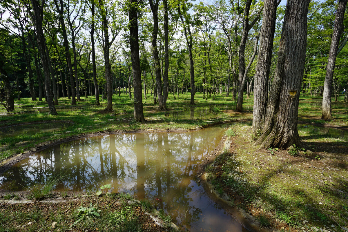[閉業]アート・ビオトープ那須の写真4