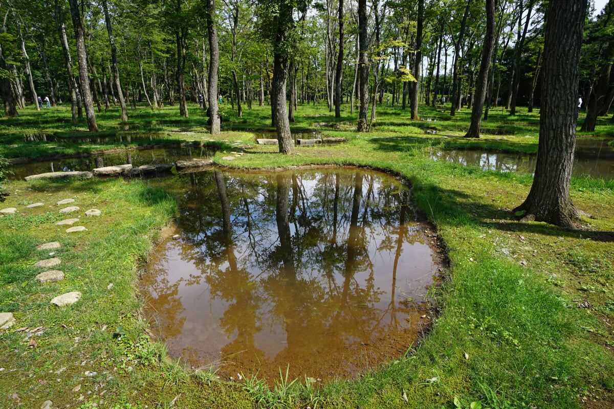 [閉業]アート・ビオトープ那須の写真5