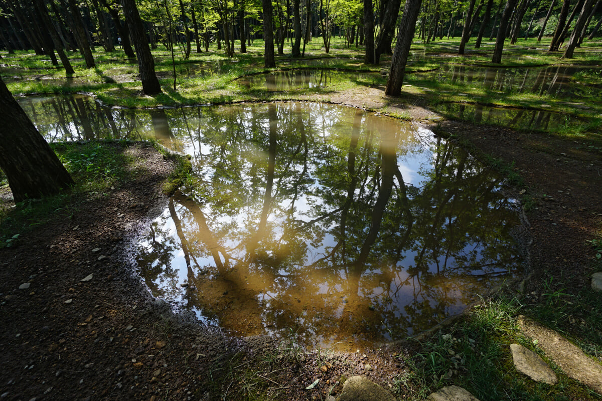 [閉業]アート・ビオトープ那須の写真6