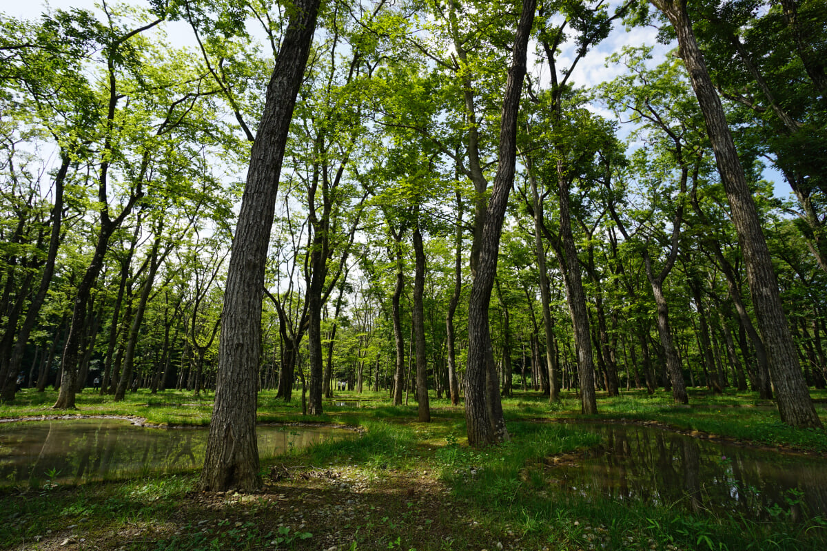 [閉業]アート・ビオトープ那須の写真7