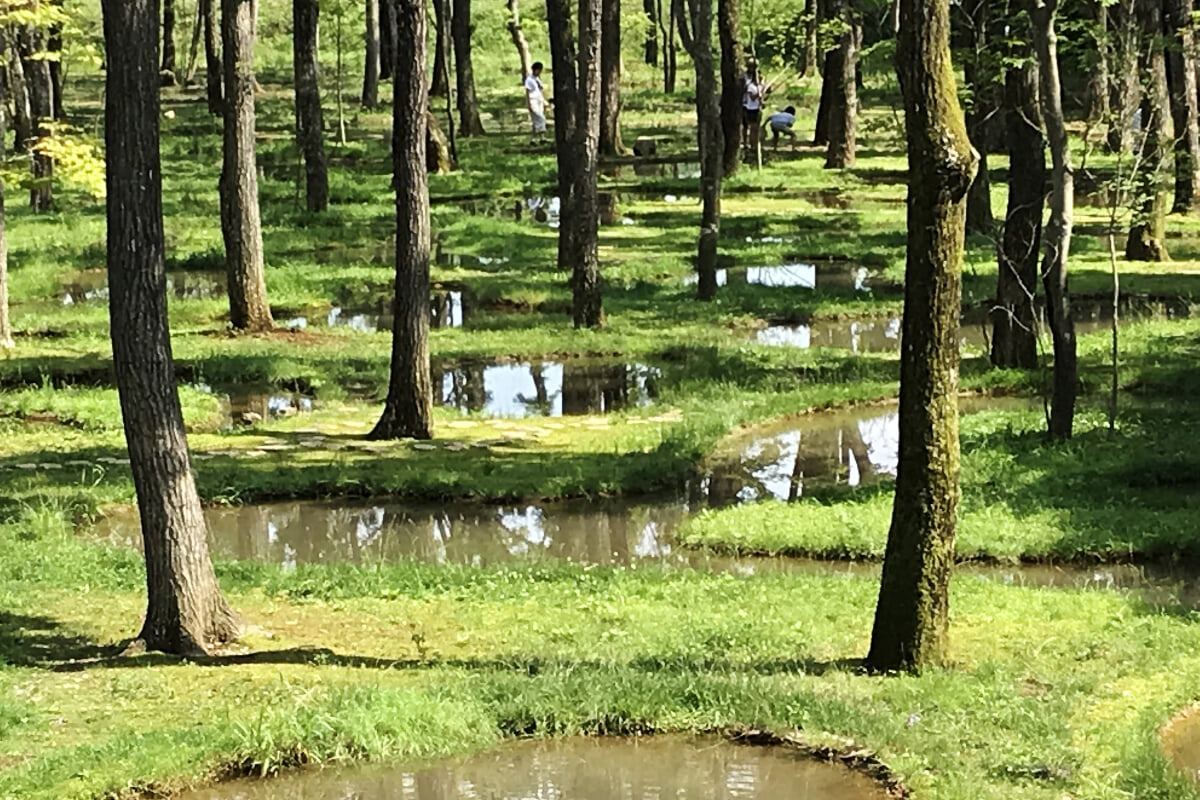 [閉業]アート・ビオトープ那須の写真8