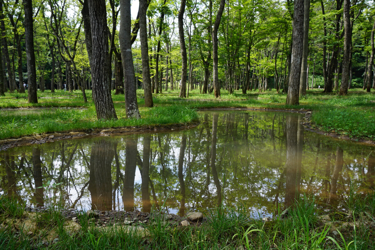 [閉業]アート・ビオトープ那須の写真9