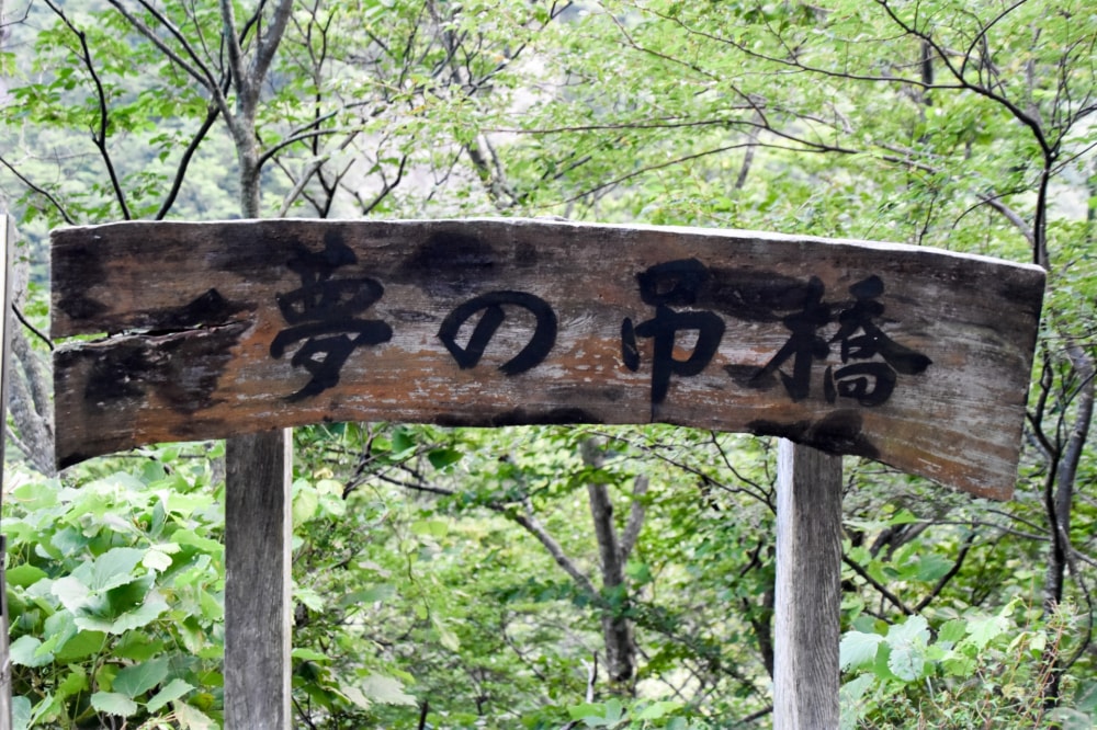 夢の吊り橋の写真2