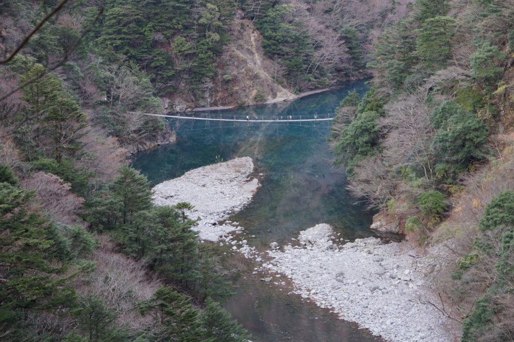 夢の吊り橋の写真3