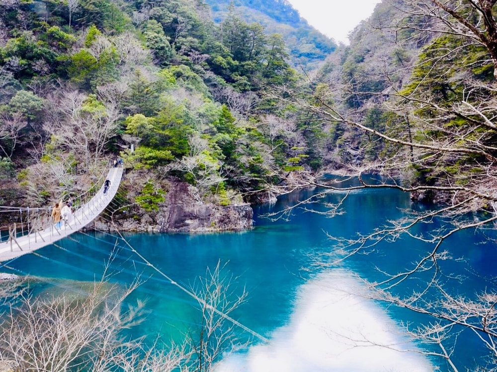 夢の吊り橋の写真5