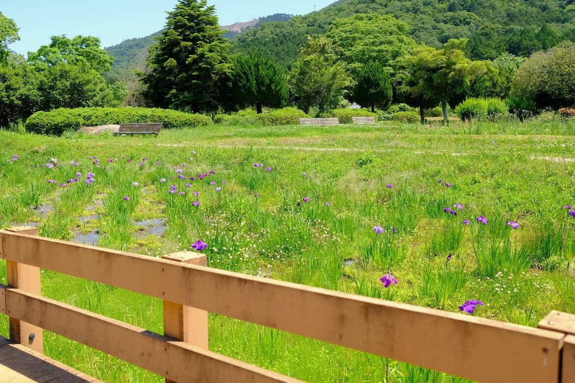 三ツ塚史跡公園の写真2
