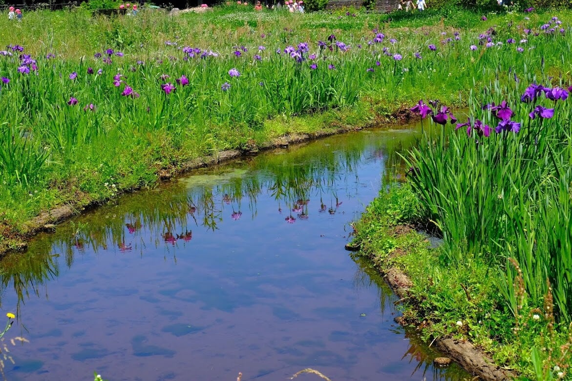 三ツ塚史跡公園の写真3
