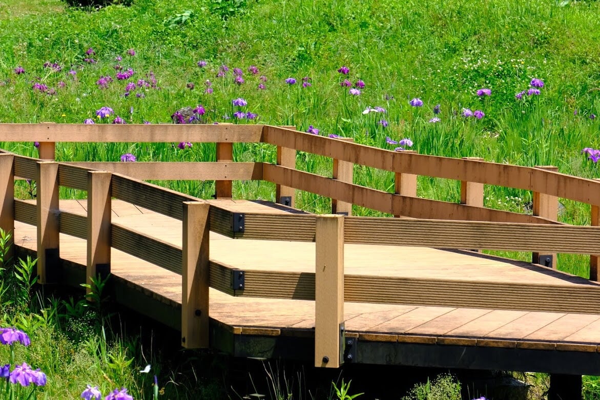 三ツ塚史跡公園の写真6