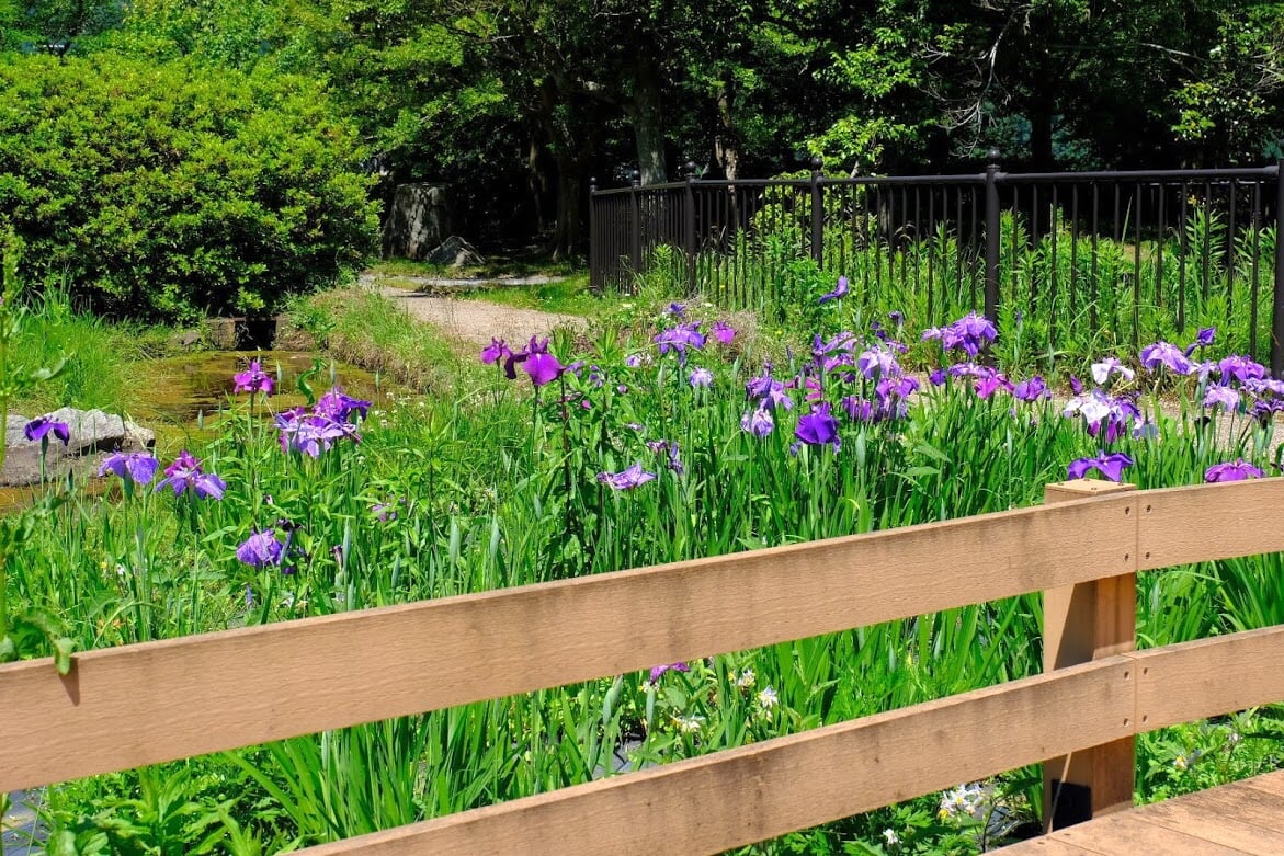 三ツ塚史跡公園の写真7