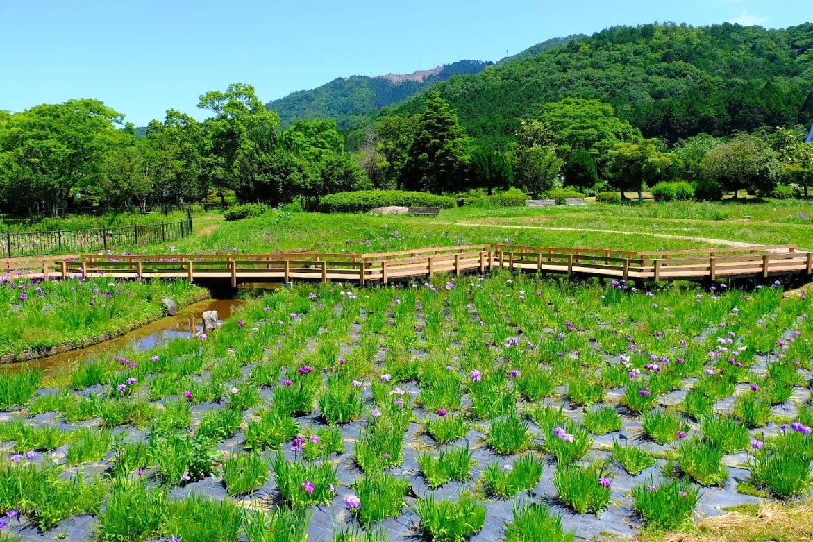 三ツ塚史跡公園の写真1