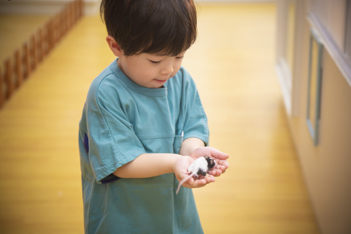 アニタッチアクアシティお台場の写真5