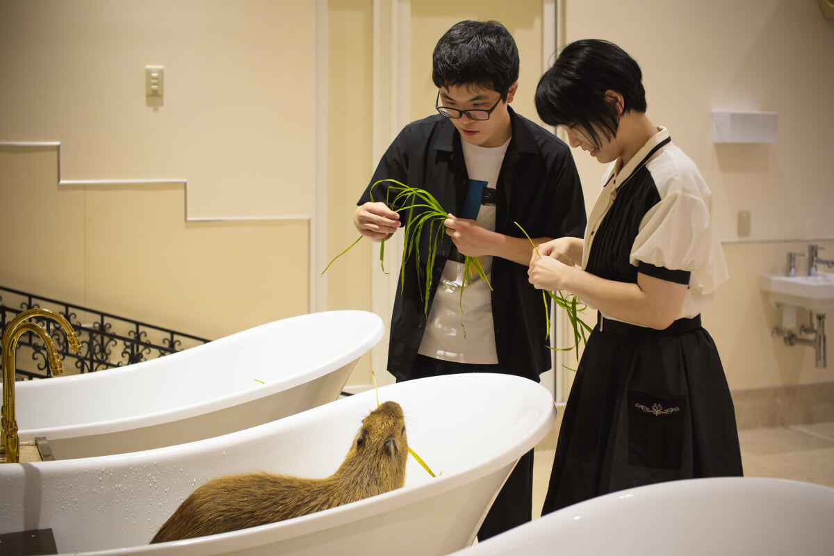 アニタッチアクアシティお台場の写真6