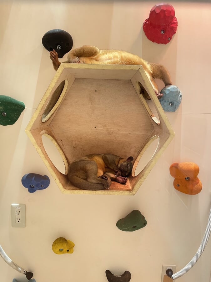 アニタッチアクアシティお台場の写真7