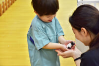 アニタッチアクアシティお台場