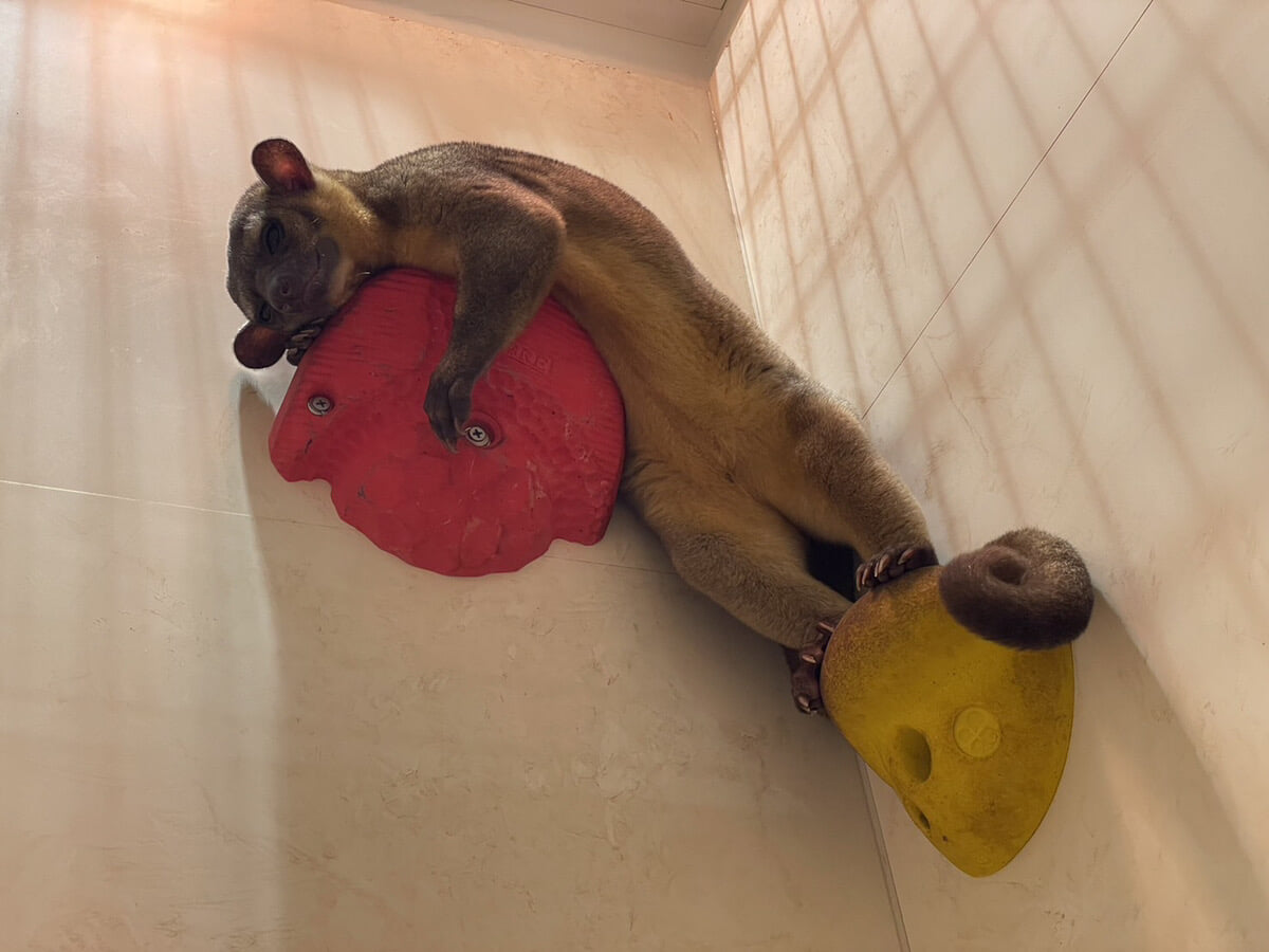 アニタッチアクアシティお台場の写真9