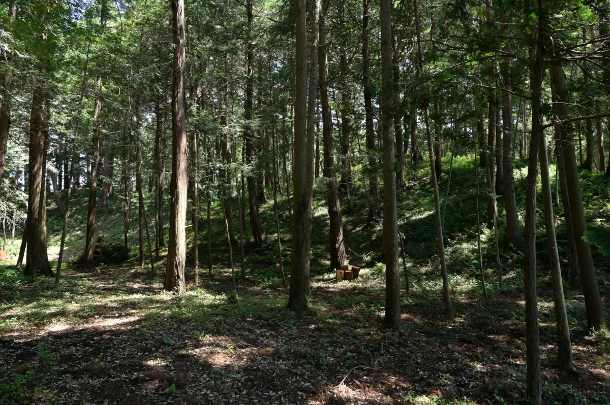 舟塚古墳の写真3