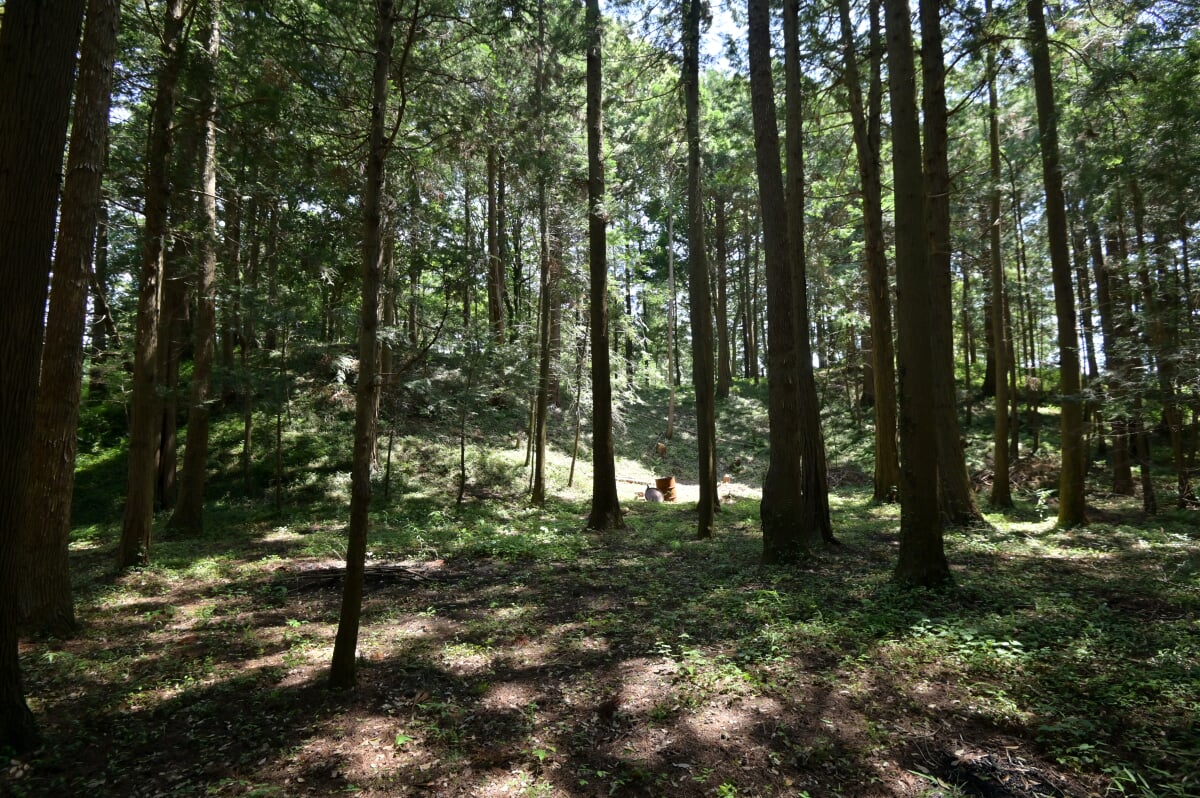 舟塚古墳の写真4