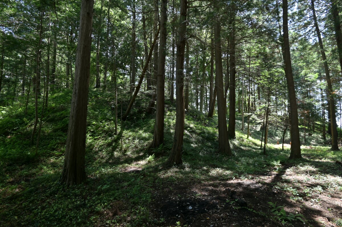 舟塚古墳の写真5