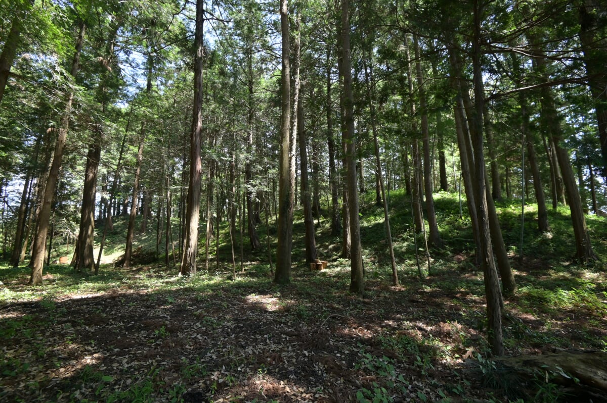 舟塚古墳の写真6