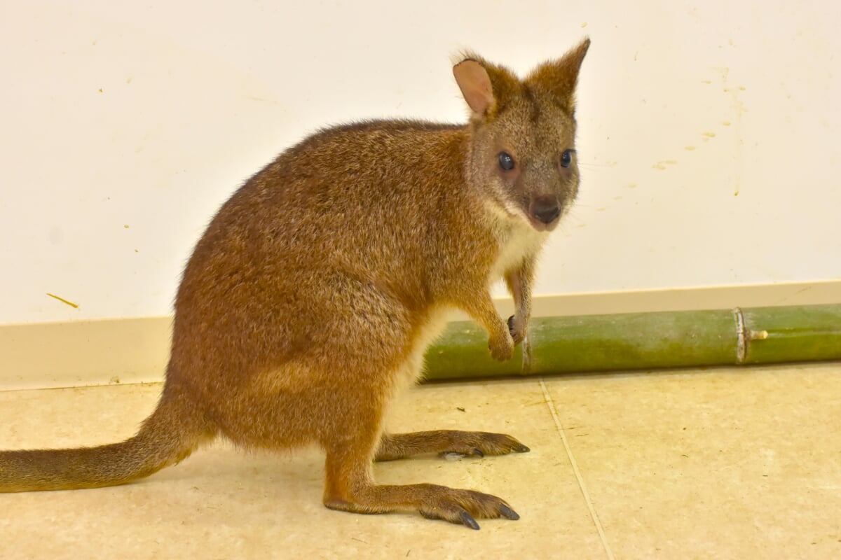 アニタッチ MARK IS 静岡の写真4