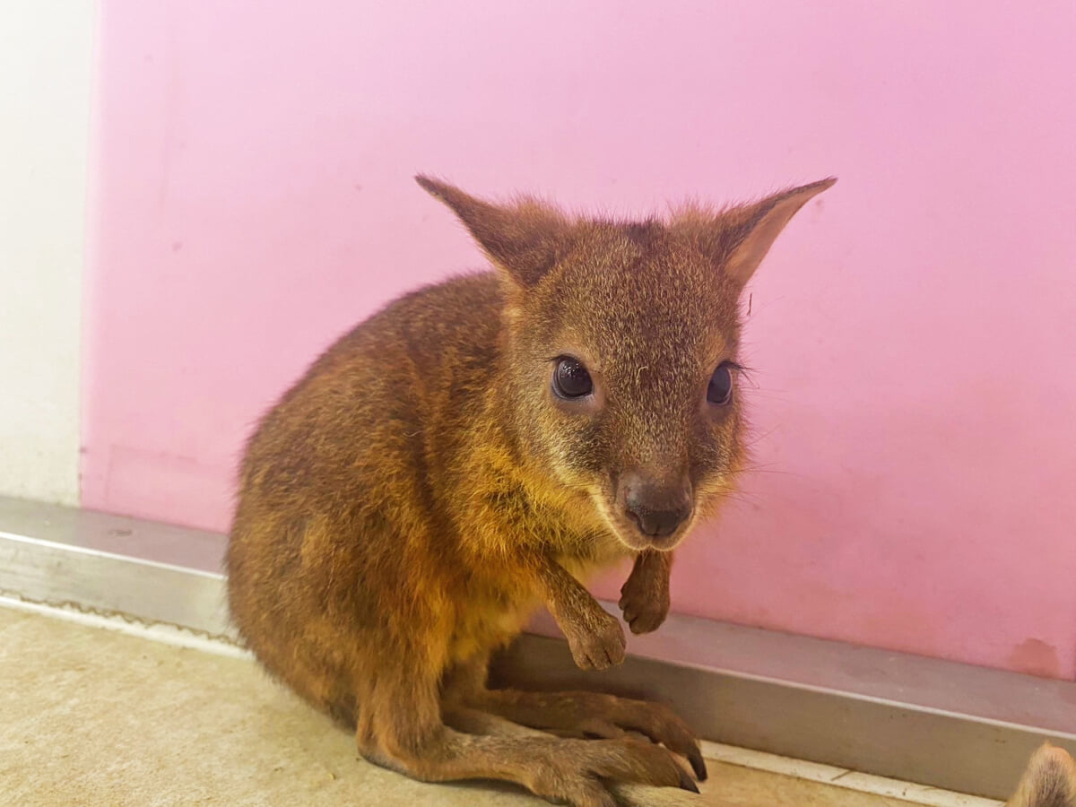 アニタッチ MARK IS 静岡の写真5