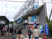 松島さかな市場