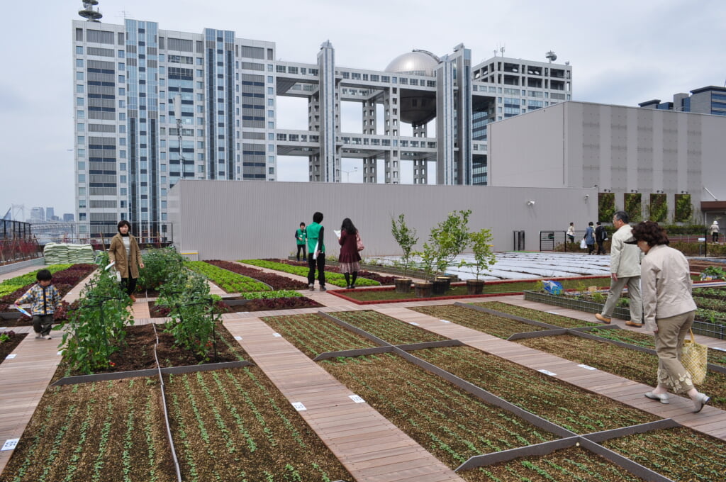 ダイバーシティ東京 プラザの写真2