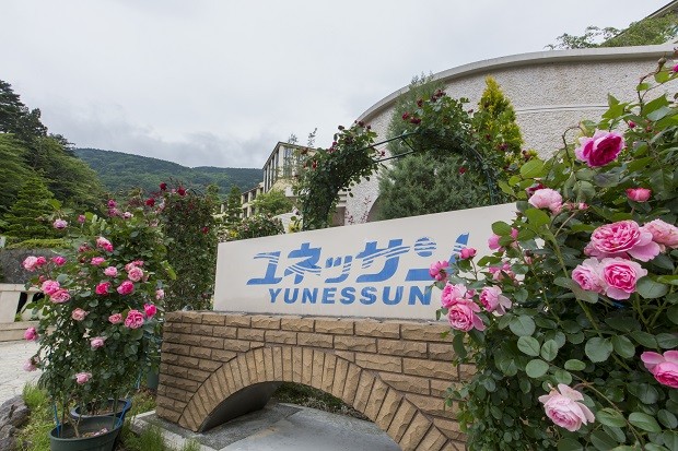 箱根小涌園ユネッサンの写真6