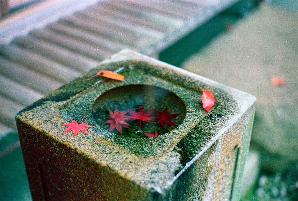 箱根美術館の写真3