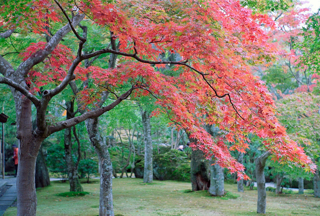 箱根美術館の写真5