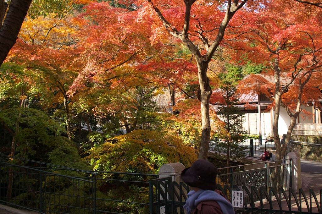 箱根美術館の写真6