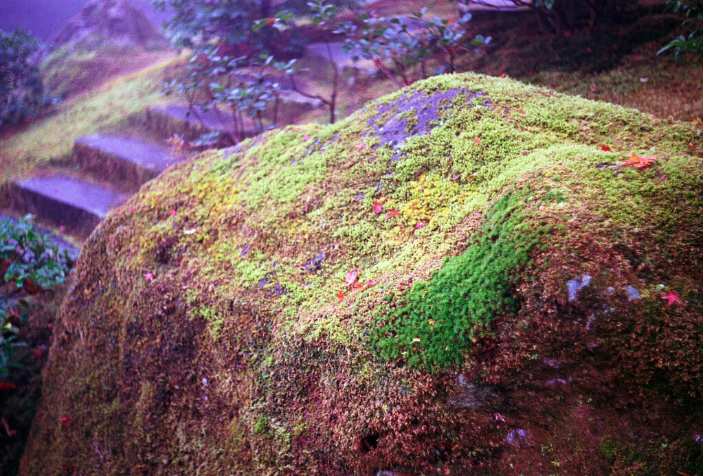 箱根美術館の写真8