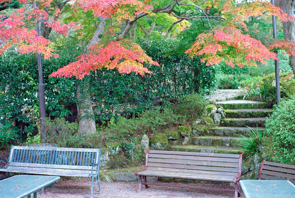 箱根美術館の写真9