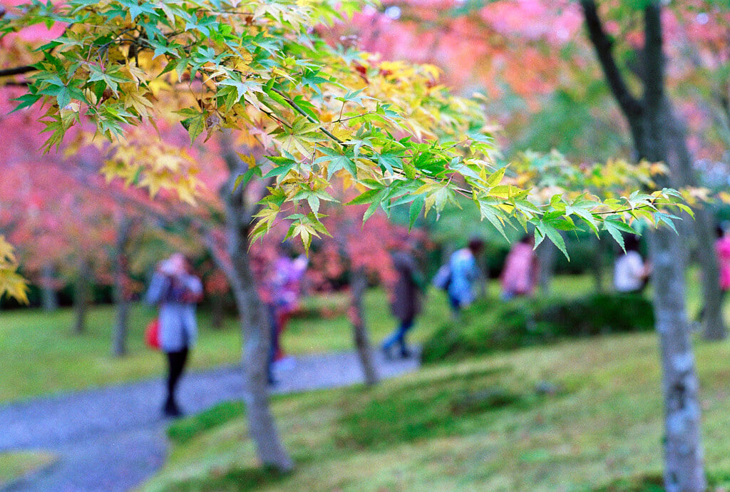 箱根美術館の写真11